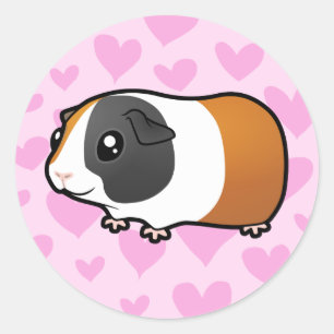 Guinea Pig Love (smooth hair) Classic Round Sticker
