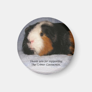 Guinea Pig Magnet #4