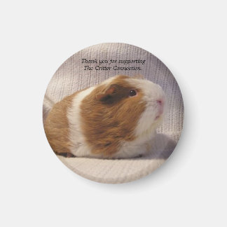 Guinea Pig Magnet #5