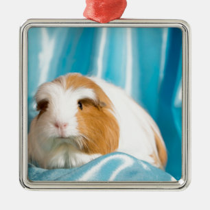 guinea pig metal tree decoration