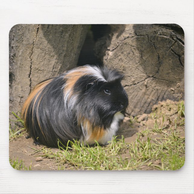 Guinea pig mouse mat (Front)