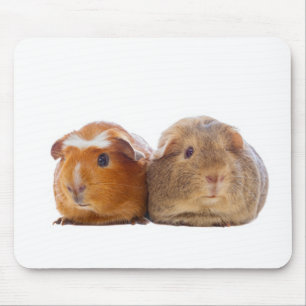Guinea Pig Mouse Mat