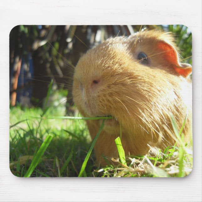 Guinea pig Mouse-pad Mouse Mat (Front)