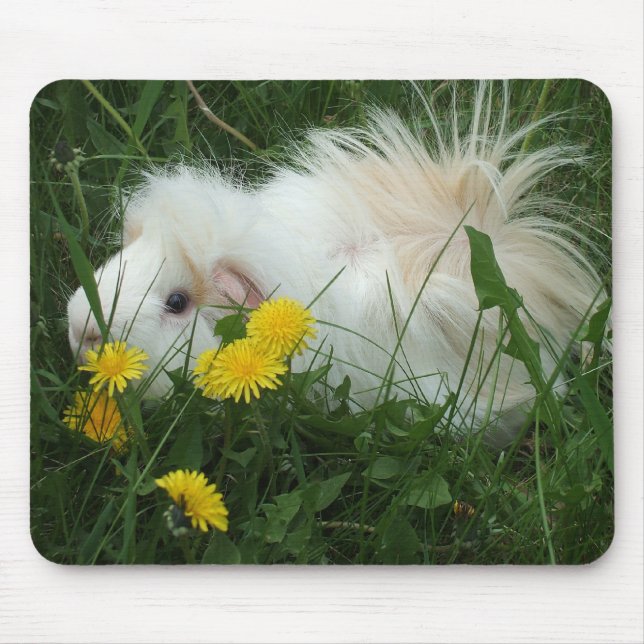 Guinea Pig Mousepad (Front)