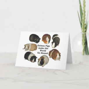 Guinea Pig Note Card