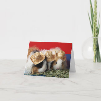 Guinea Pig Note Card