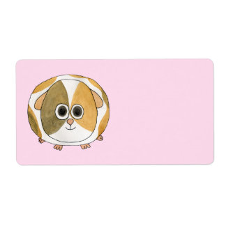 Guinea Pig on Pink.