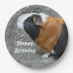 Guinea Pig Photo Birthday Paper Plate