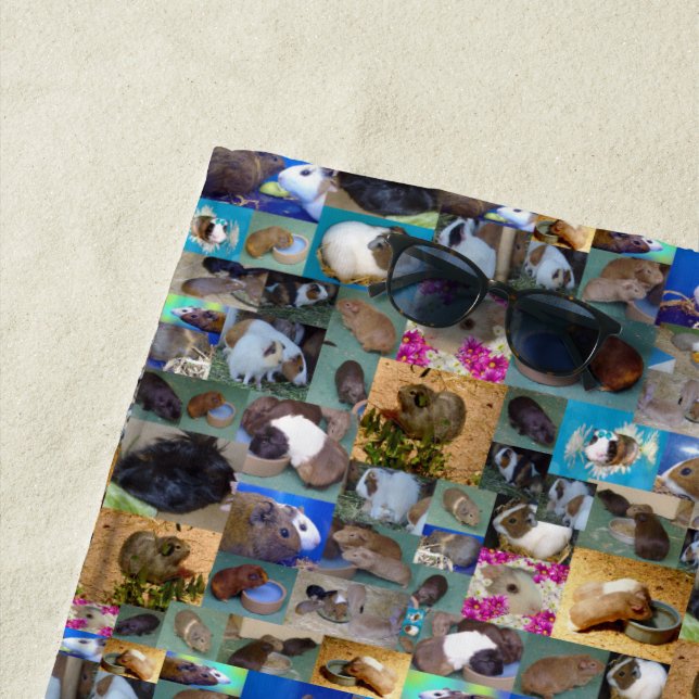 Guinea Pig Photo Collage, Beach Towel (In Situ)