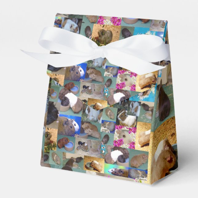 Guinea Pig Photo Collage, Party Favor Box (Front Side)
