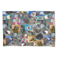 Guinea Pig Photo Collage,