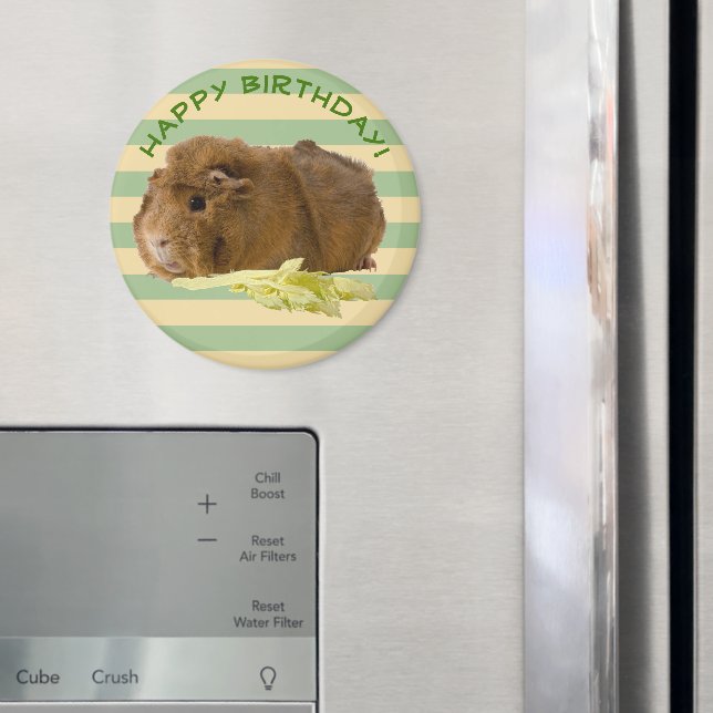 Guinea Pig Photograph Happy Birthday Template Magnet (In Situ (Fridge))