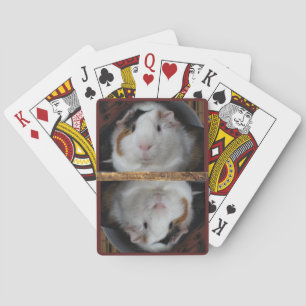Guinea Pig Playing Cards
