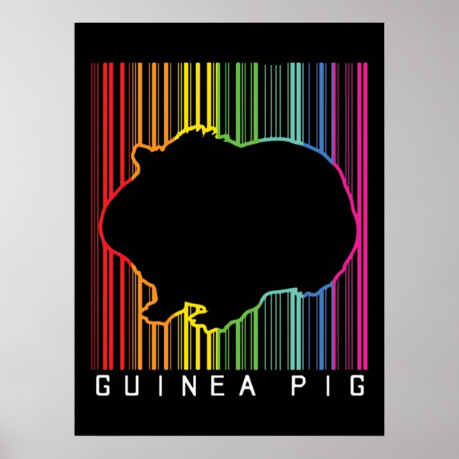 Guinea pig poster (Front)