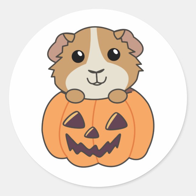 Guinea Pig Pumpkin Sweet Animals Happy Halloween C Classic Round Sticker (Front)
