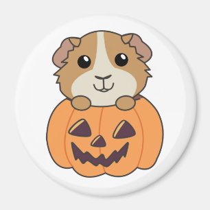 Guinea Pig Pumpkin Sweet Animals Happy Halloween M Magnet