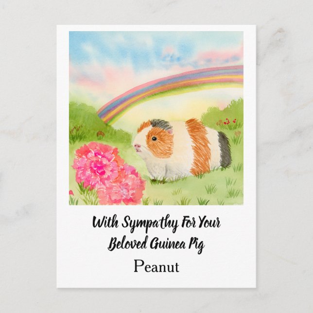Guinea Pig Rainbow Sympathy with Carnations Name Postcard (Front)
