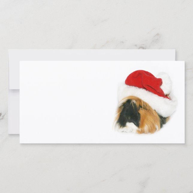 Guinea pig Santa Holiday Card (Front)