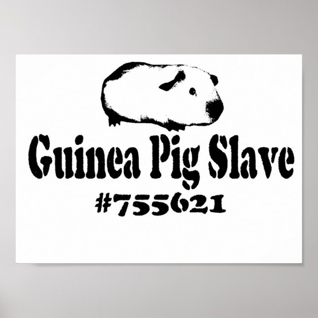 Guinea Pig Slave Poster (Front)