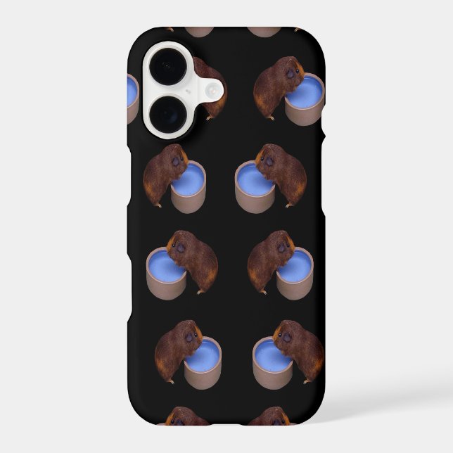 Guinea Pig Standing Drinking, (Back)