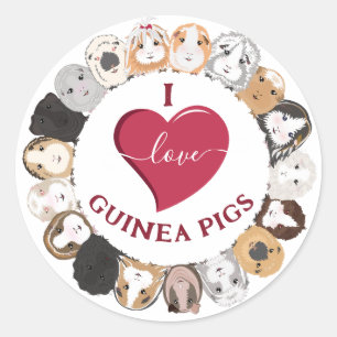 Guinea Pig Sticker