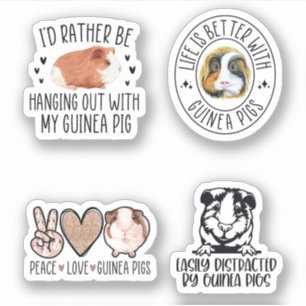 Guinea Pig Sticker Pack, Funny Guinea Pig
