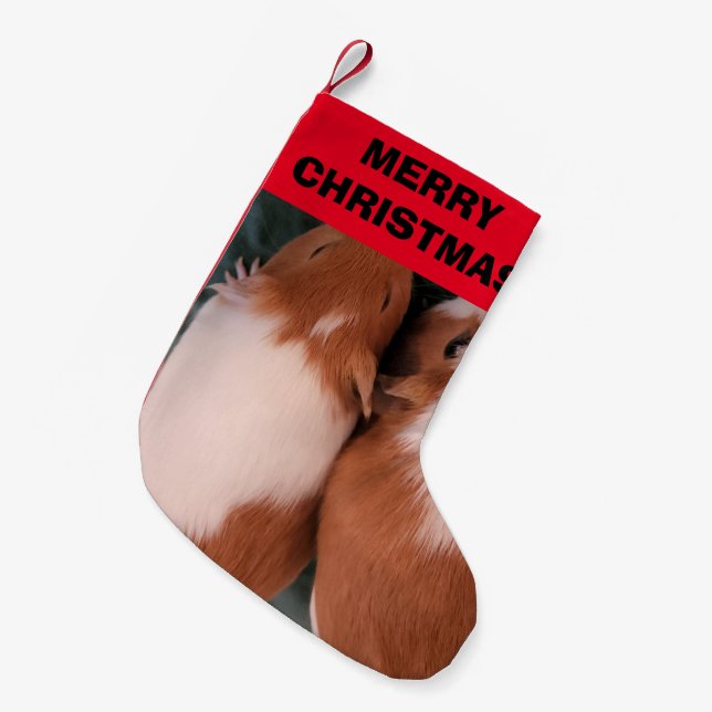 Guinea pig stocking (Front (Hanging))