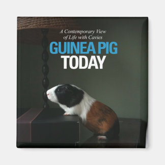 Guinea Pig Today Photo Magnet