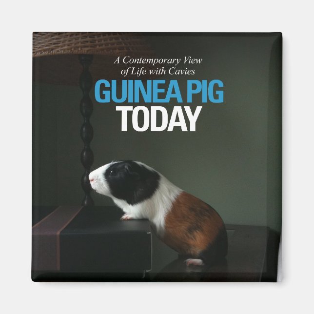 Guinea Pig Today Photo Magnet (Front)
