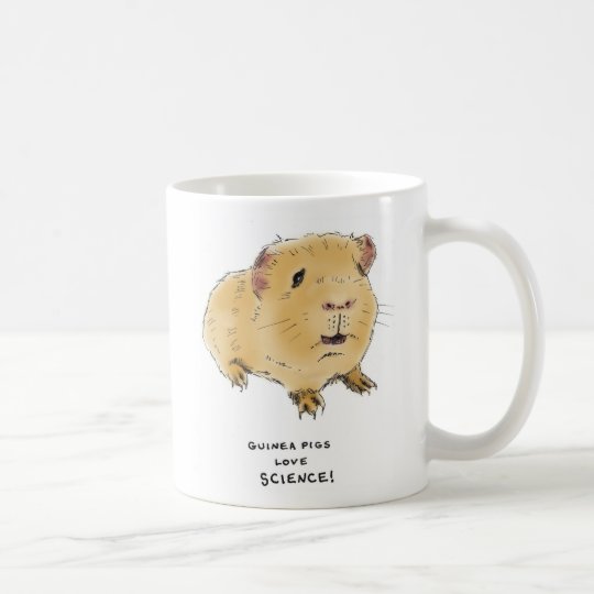I Love Guinea Pigs Mug Zazzle co uk