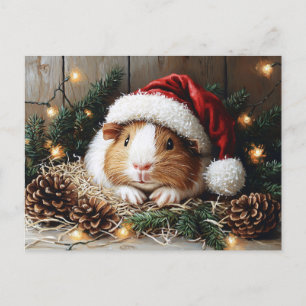 Guinea Pig Wearing a Santa Hat Postcard