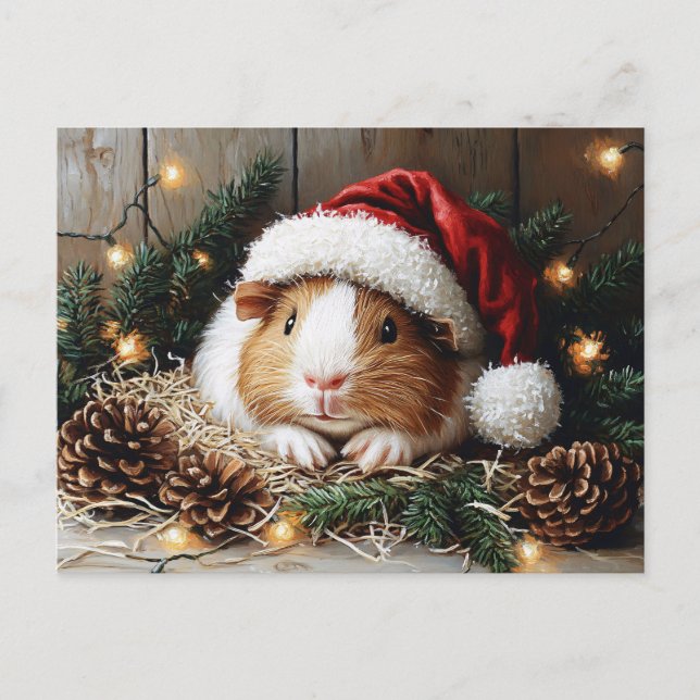 Guinea Pig Wearing a Santa Hat Postcard (Front)
