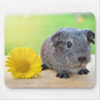 Guinea Pig with Flower Mouse Pad