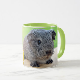 Guinea Pig with Flower Mug