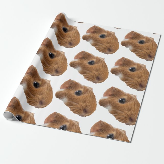 guinea pig  wrapping paper (Unrolled)