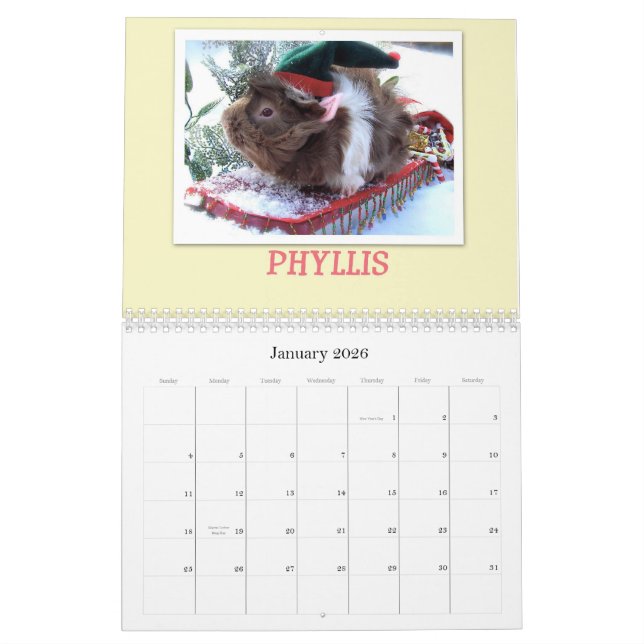 Guinea Pigs 2013 Calendar (Jan 2026)