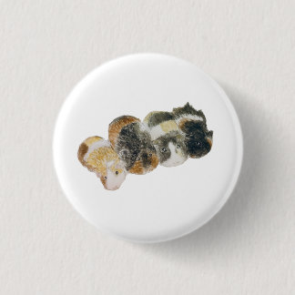 guinea pigs 3 cm round badge