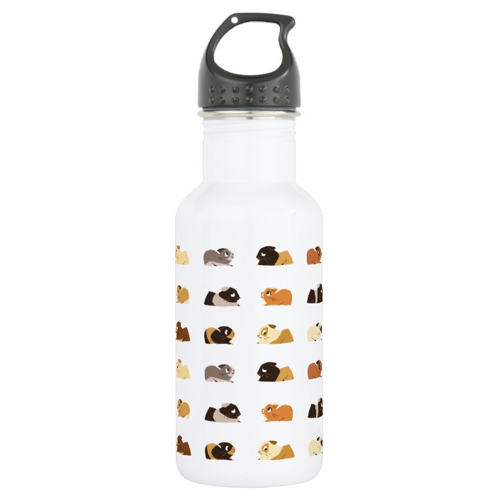 Guinea pigs 532 ml water bottle Zazzle.co.uk