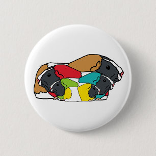Guinea Pigs 6 Cm Round Badge
