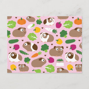 Guinea Pigs And Their Treats Postcard