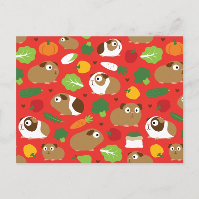 Guinea Pigs And Their Treats Postcard (Front)