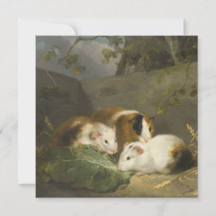 Guinea Pigs (by George Morland) Card