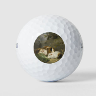 Guinea Pigs (by George Morland) Golf Balls