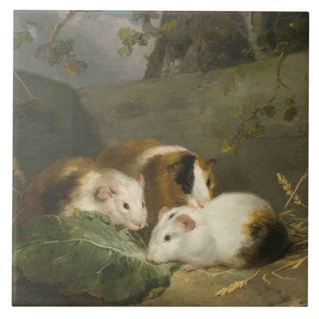 Guinea Pigs (by George Morland) Tile (Front)