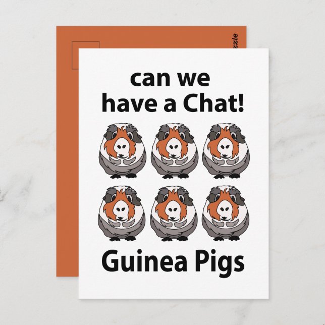 Guinea Pigs Can We Have A Chat Funny Guinea Pigs Postcard (Front/Back)