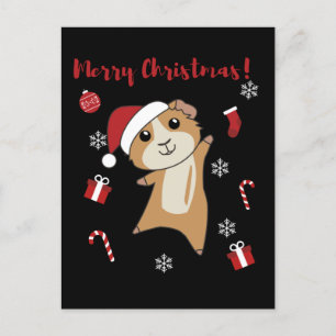 Guinea Pigs Christmas Winter Animals Holiday Postcard