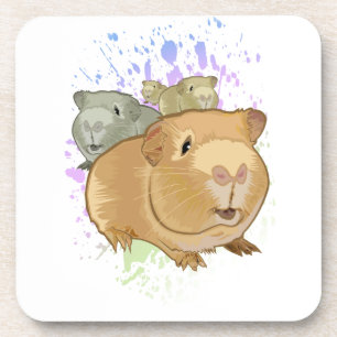 Guinea Pigs Coaster