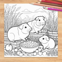 Guinea Pigs Cute Pet Animals Colouring