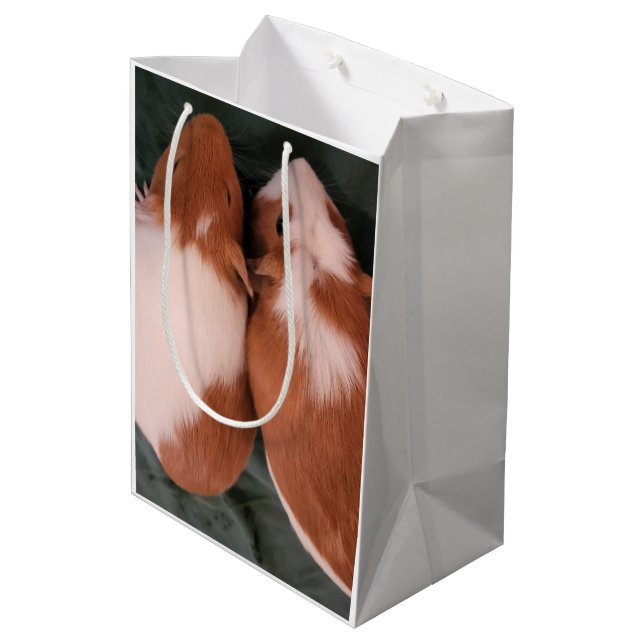 Guinea pigs gift bag (Back Angled)