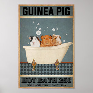 Guinea Pigs Hot Bath 25C Poster